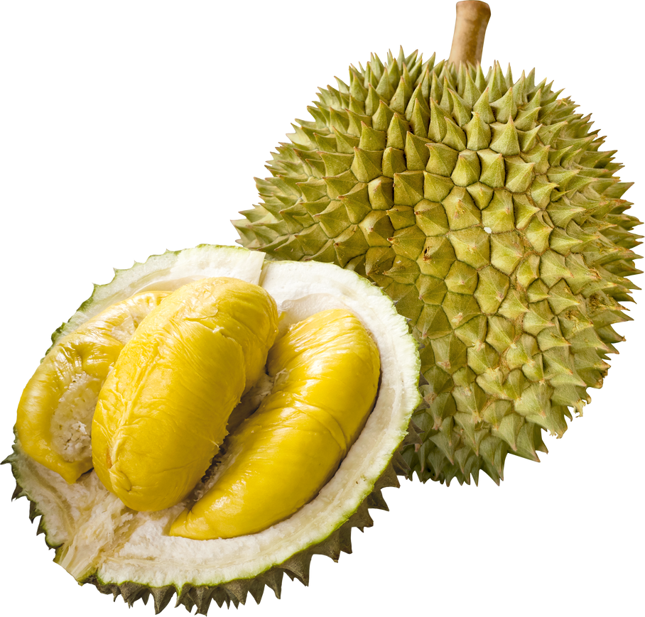 Golden Musang King Durian, king of fruits, durian pulp cutout